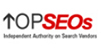 Internet Consulting - Top SEOs